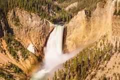 Lower Yellowstone Falls