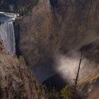 Lower Yellowstone Falls