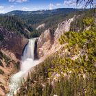 Lower Yellowstone Falls