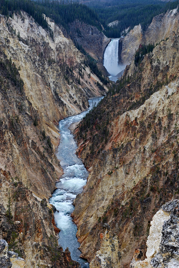 Lower Yellowstone Falls