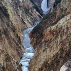 Lower Yellowstone Falls