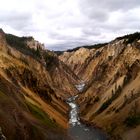 Lower Yellowstone Falls