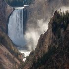 Lower Yellowstone Falls