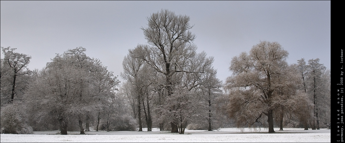 [ lowland snow ]