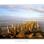 Lowtide