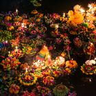 Loy Krathong III