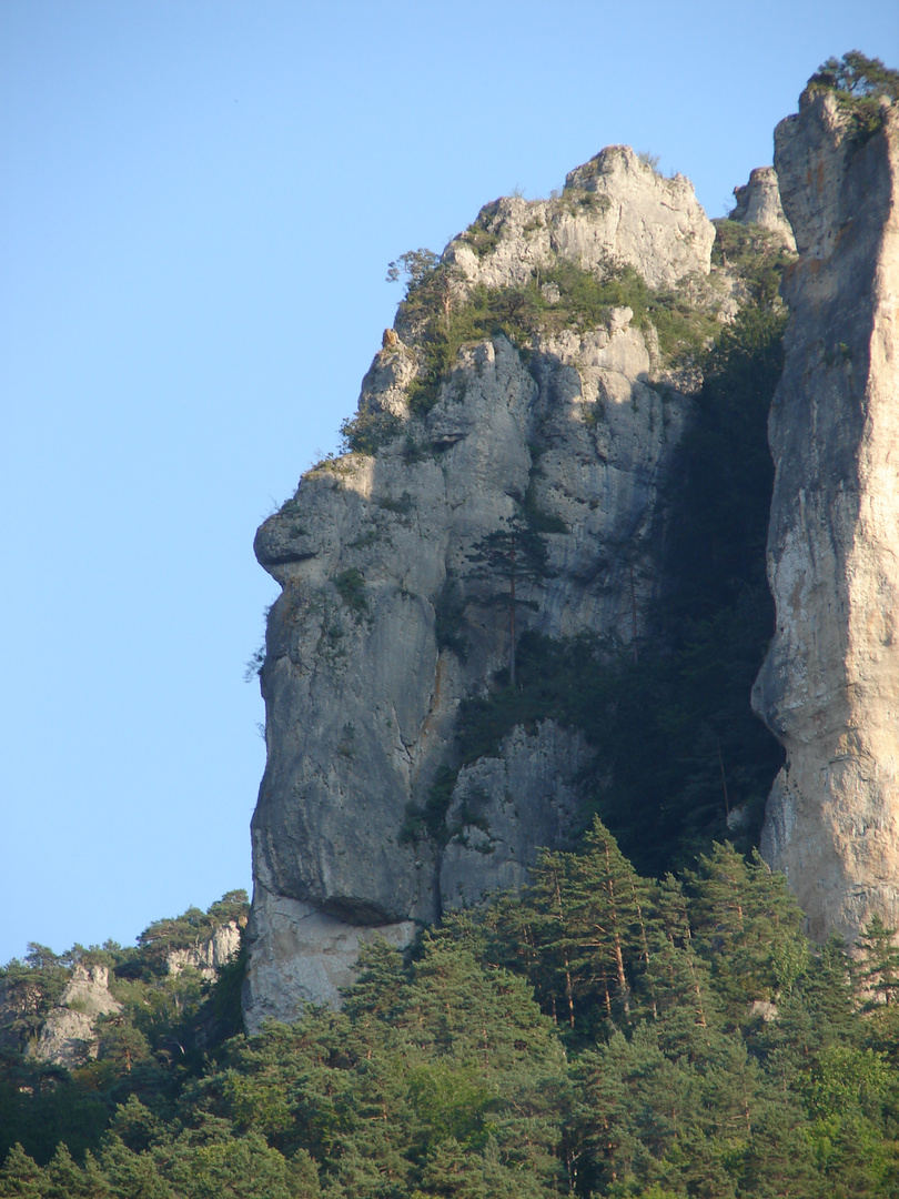 Lozere Gesicht