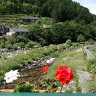 Lozère ... Le pont de Montvert