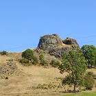 Lozère sauvage