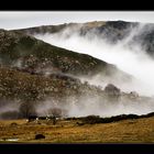 Lozère      I