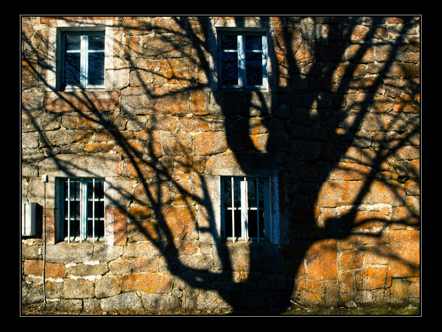 Lozère       V