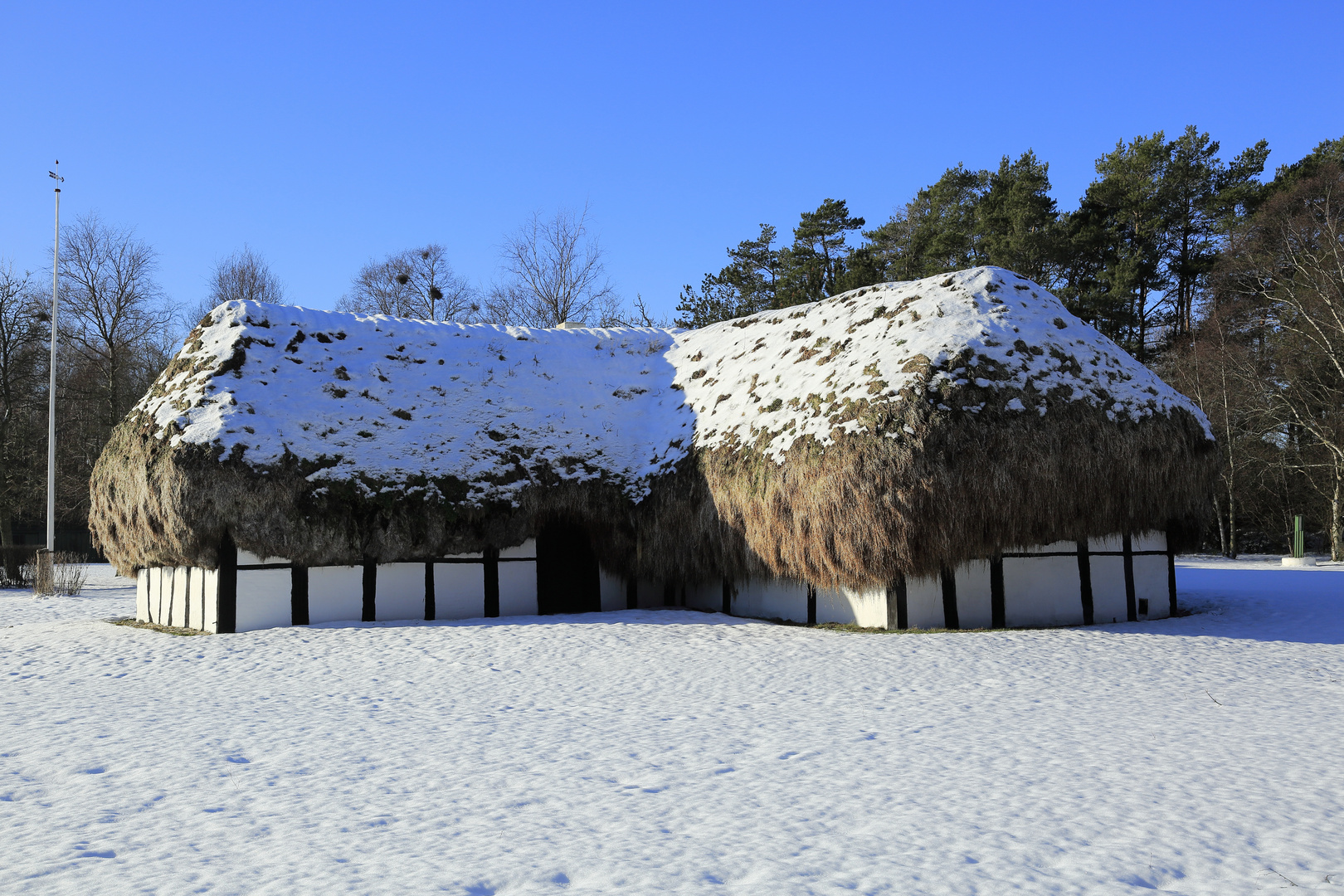 Læsø VI