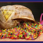 LSD-Schnecke