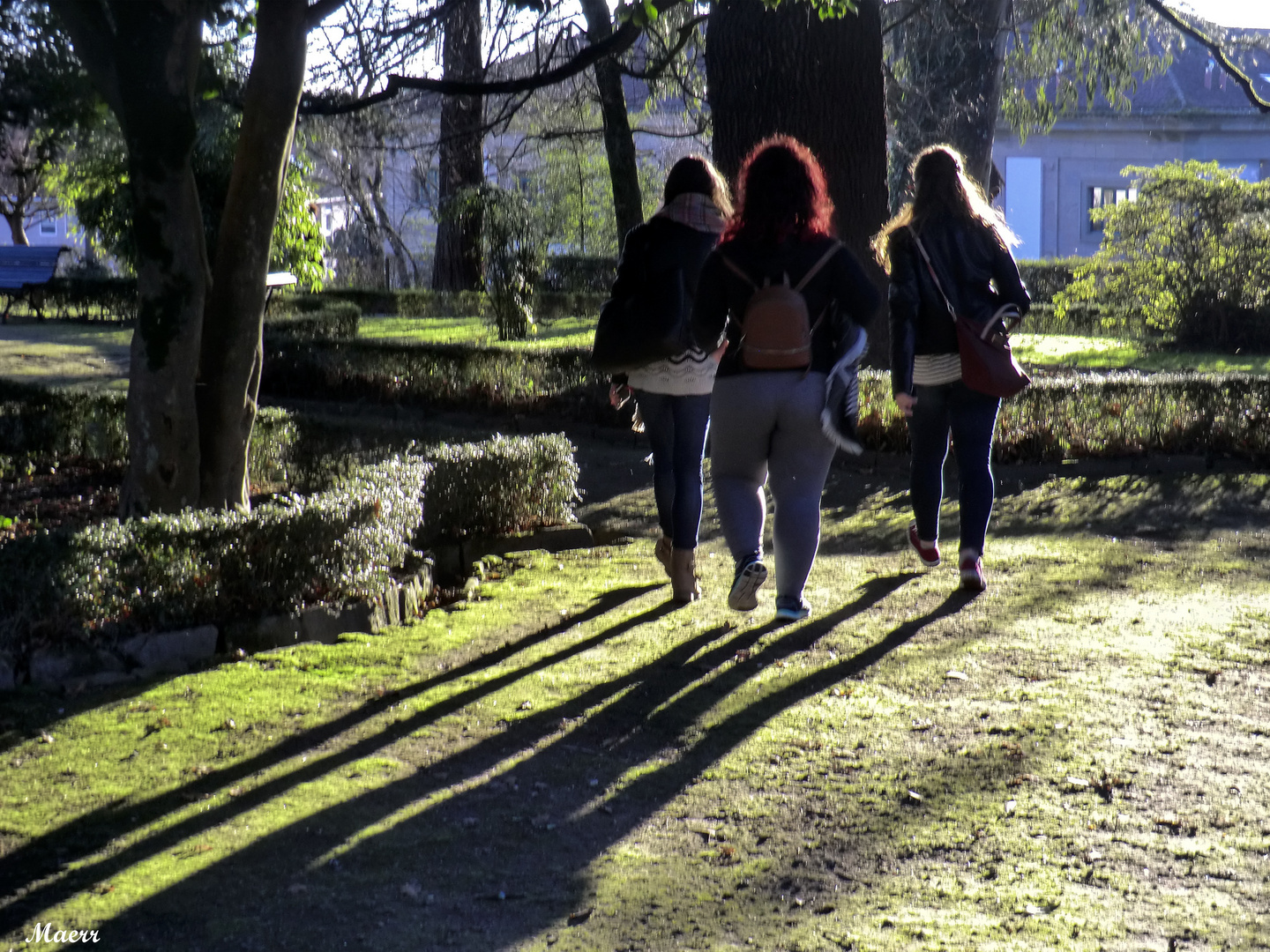 Últimos rayos de sol en el parque