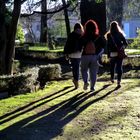 Últimos rayos de sol en el parque