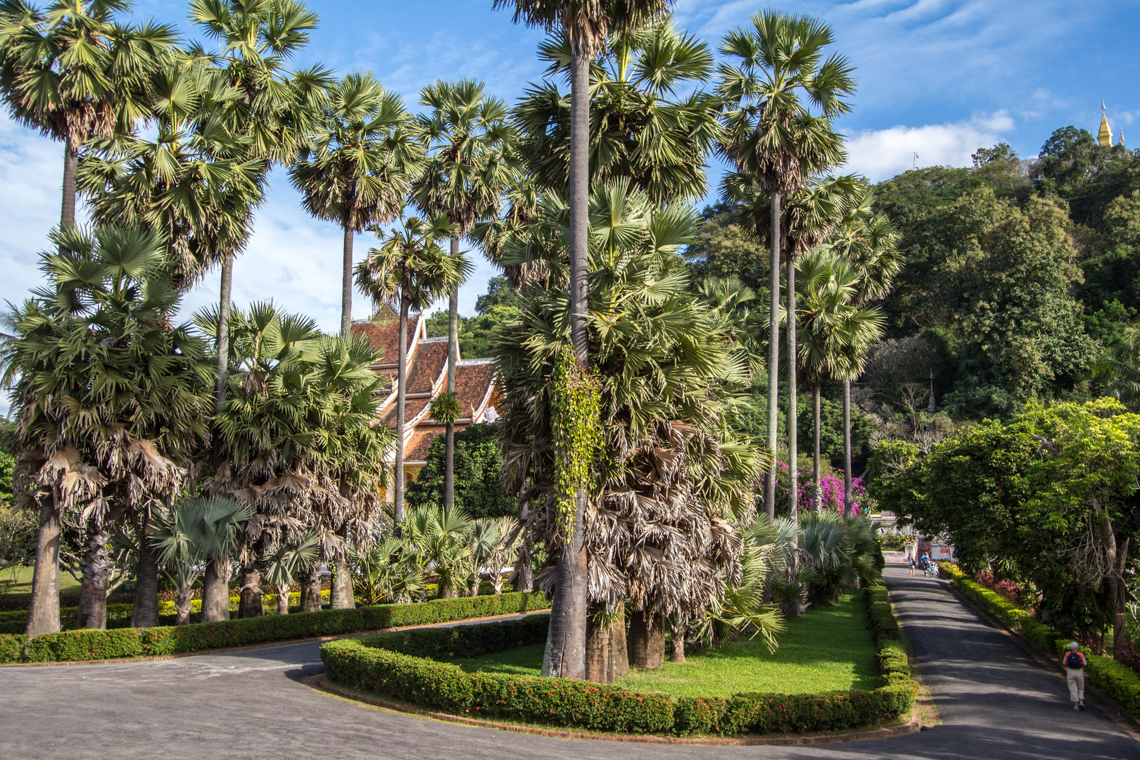 Luang Prabang IV