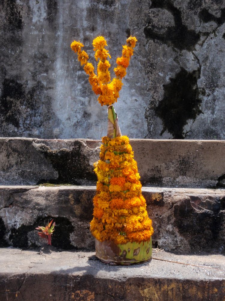 luang prabang opfergabe, laos 2010