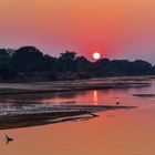 Luangwa