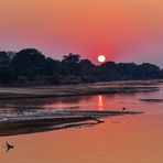 Luangwa