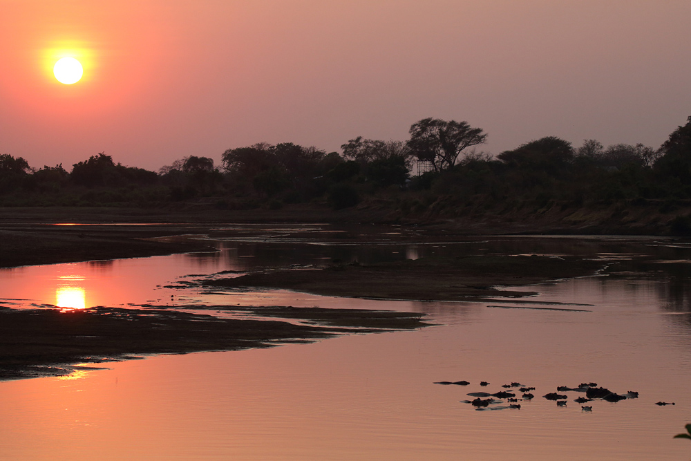 Luangwa River