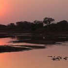 Luangwa River