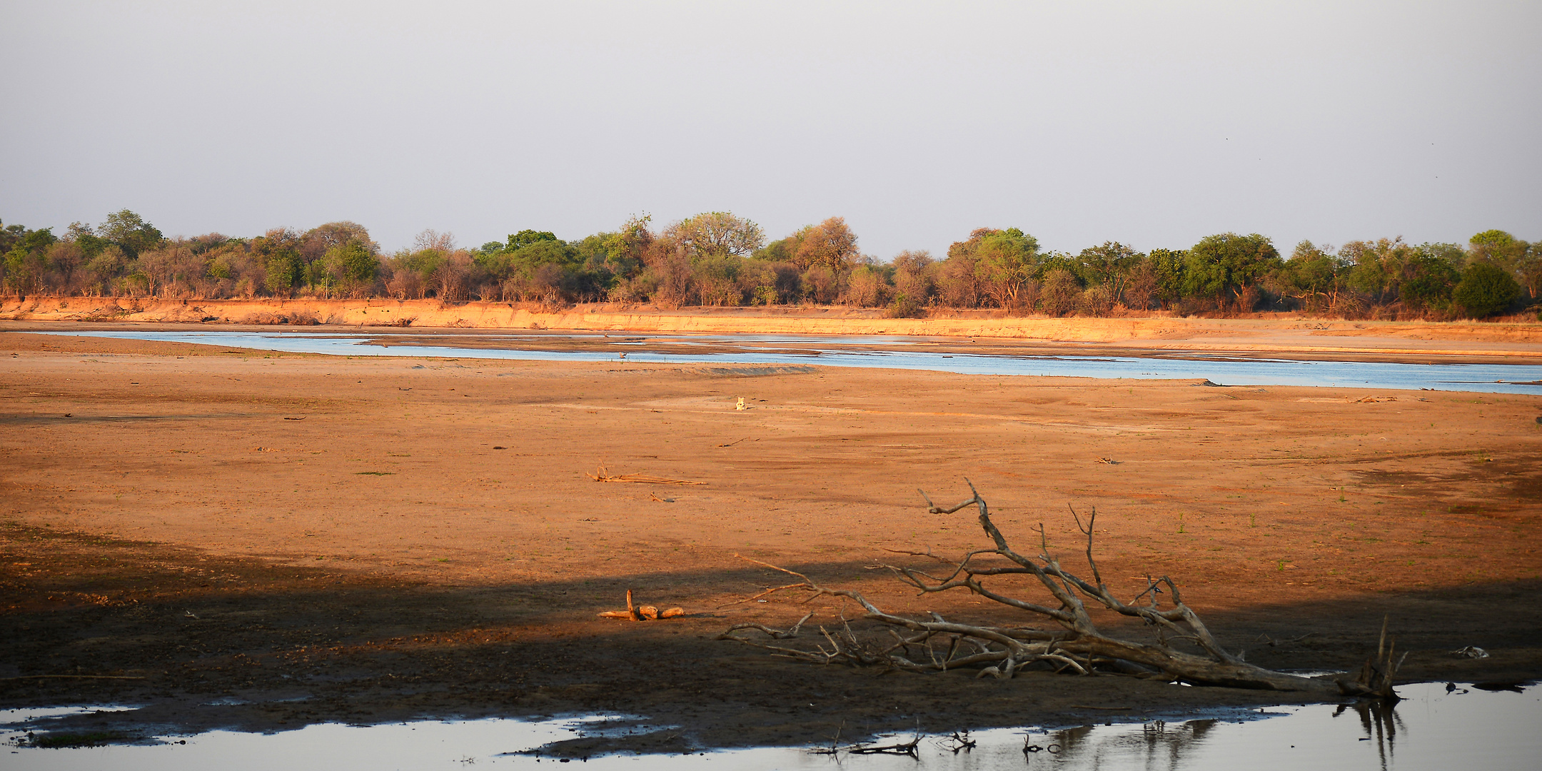 Luangwa River