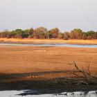 Luangwa River