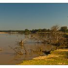 Luangwa River/Zambia