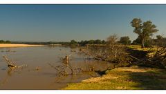 Luangwa River/Zambia