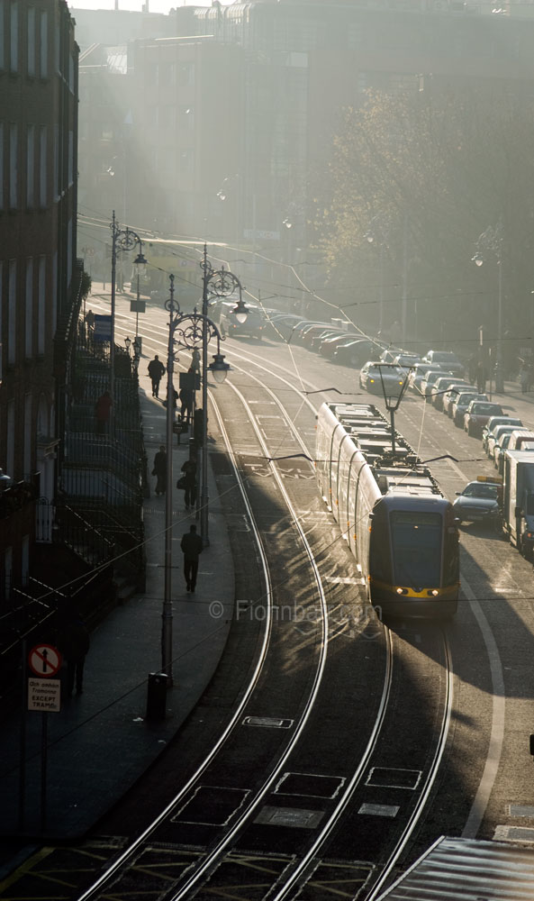 Luas