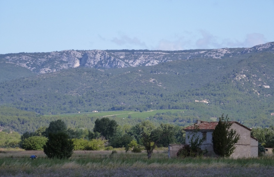 Luberon 2014