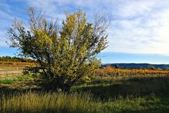 Luberon d'automne (3)