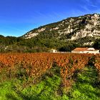 LUBERON D'AUTOMNE