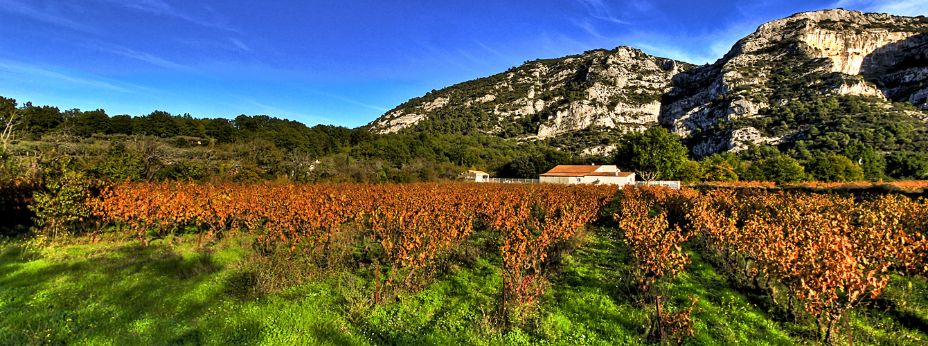 LUBERON D'AUTOMNE