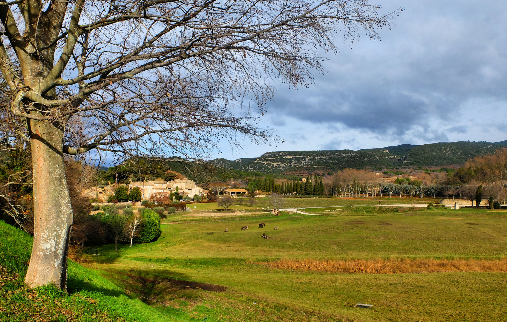 Luberon d'hiver...