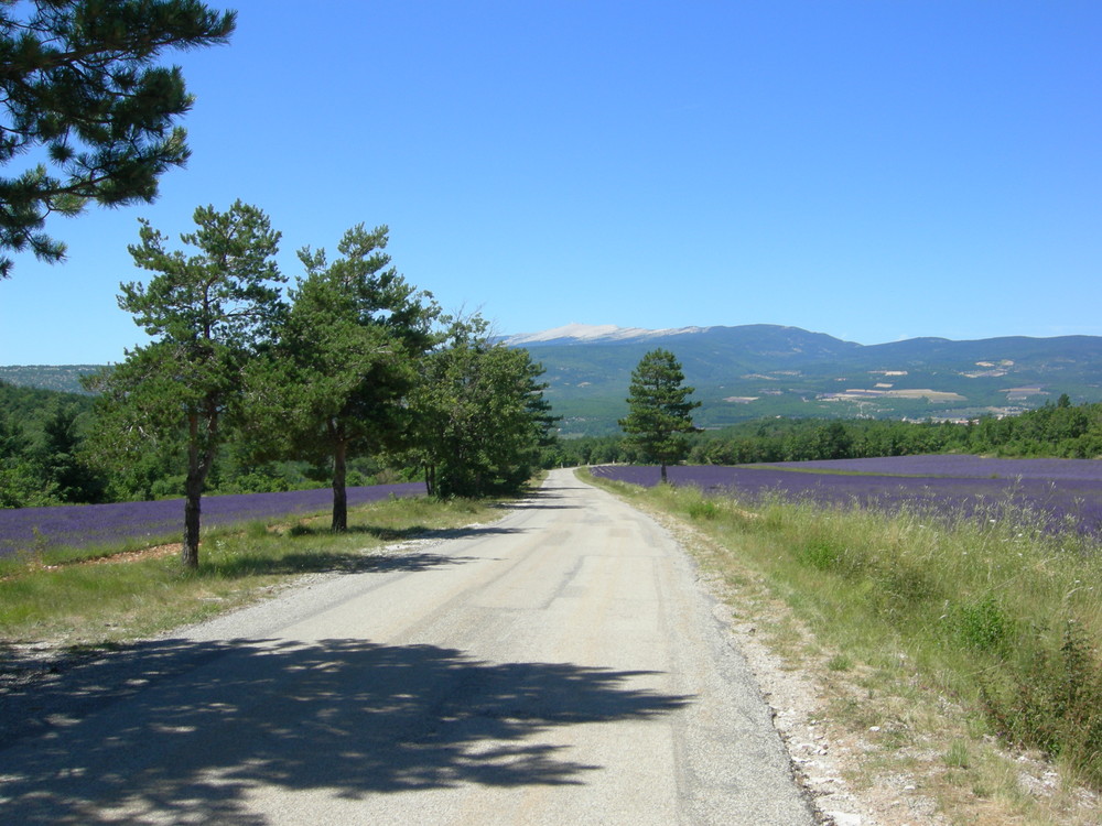 Luberon - Lavendel & Mont Ventoux