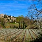 Luberon printanier (1)