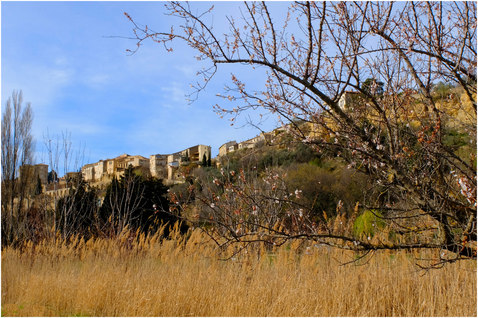 Luberon printanier (5)