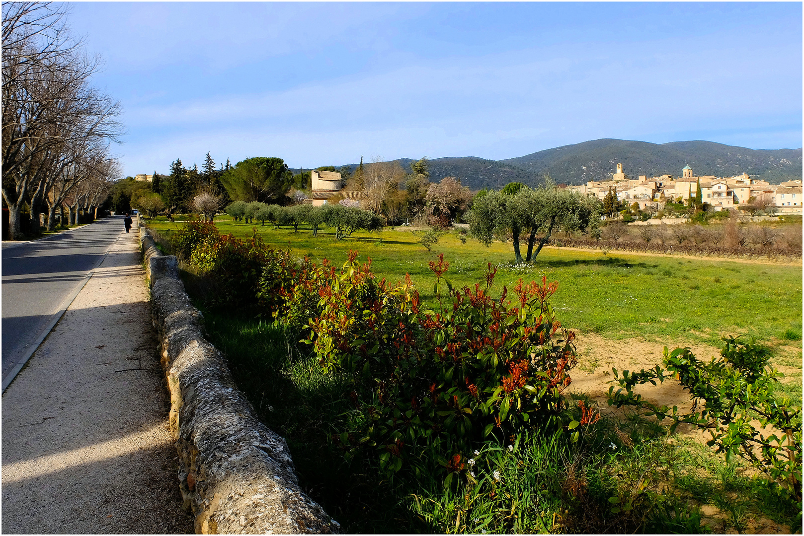 Luberon Printanier (6)