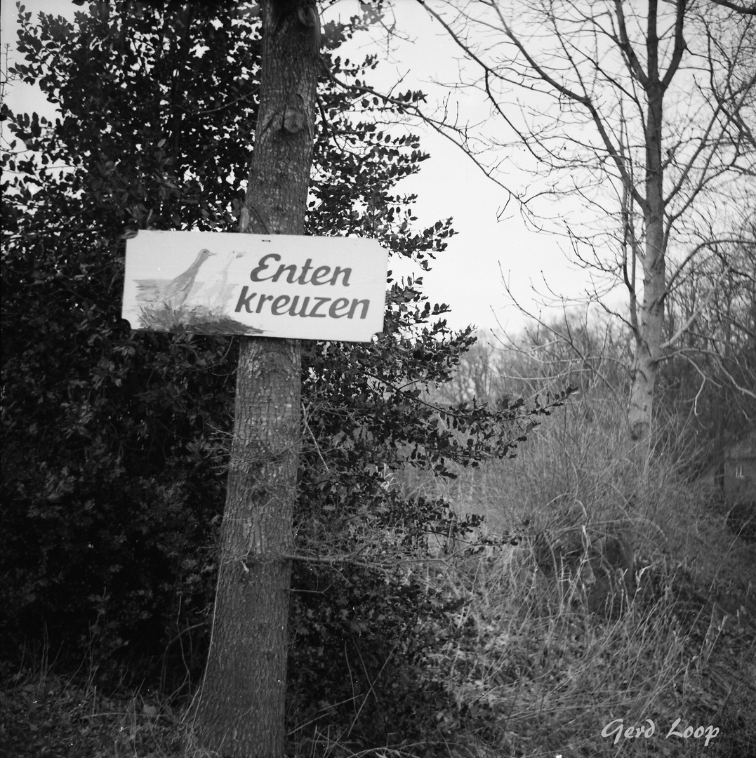 Lubitel Rollei Retro 100 D-76_0003_bearbeitet-1