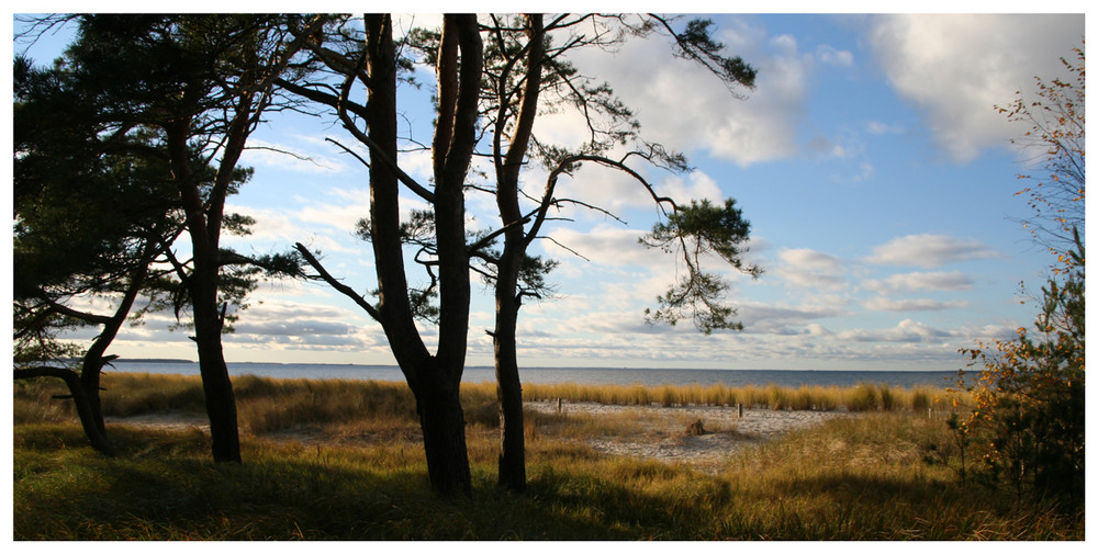 Lubminer Strand im November