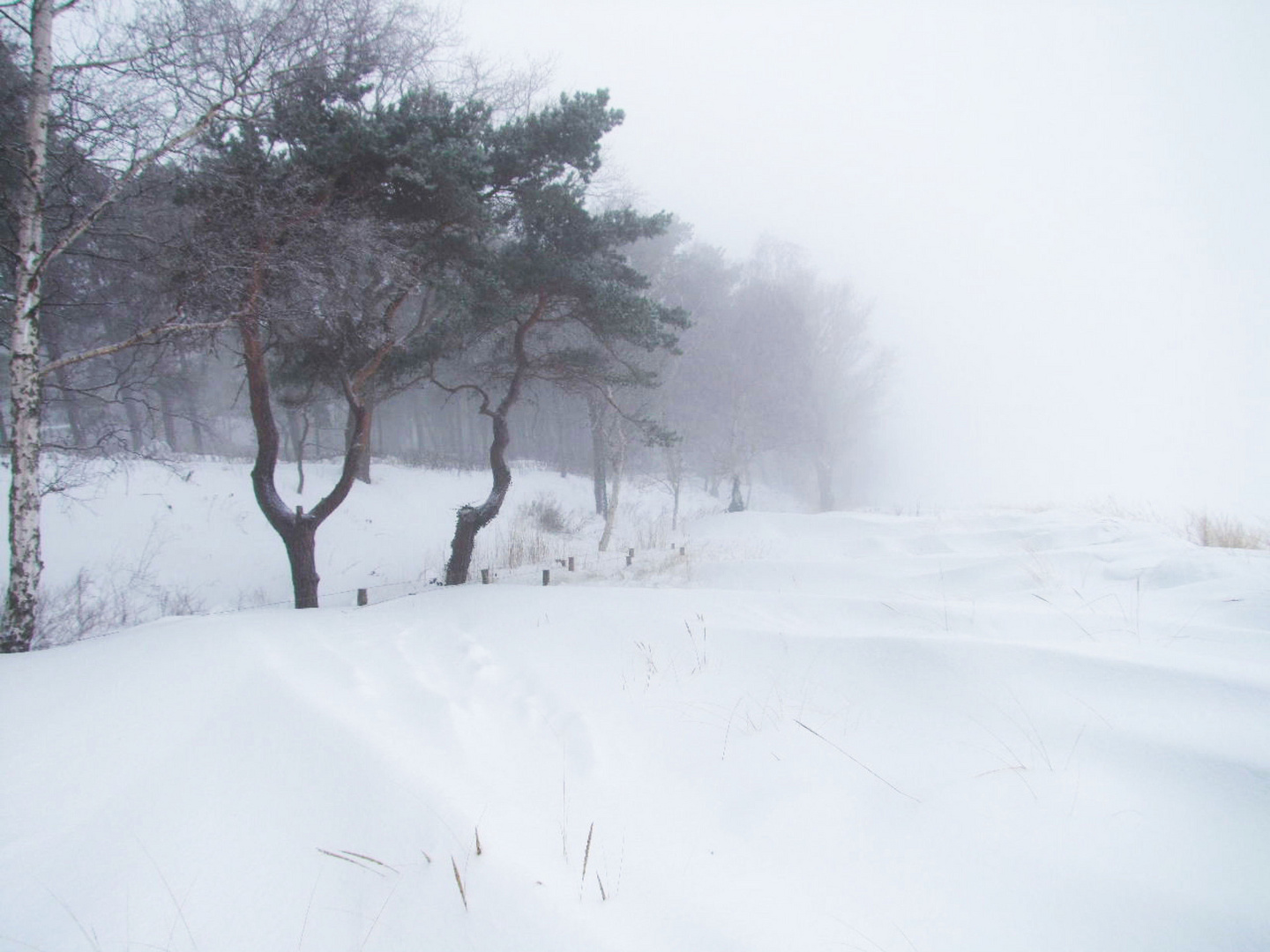 Lubminer Winterimpressionen