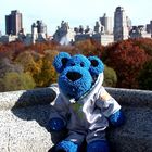 Luc in NYC - more Central Park