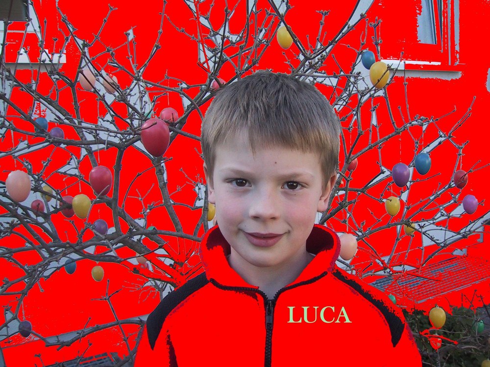 Luca auf rot