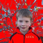 Luca auf rot