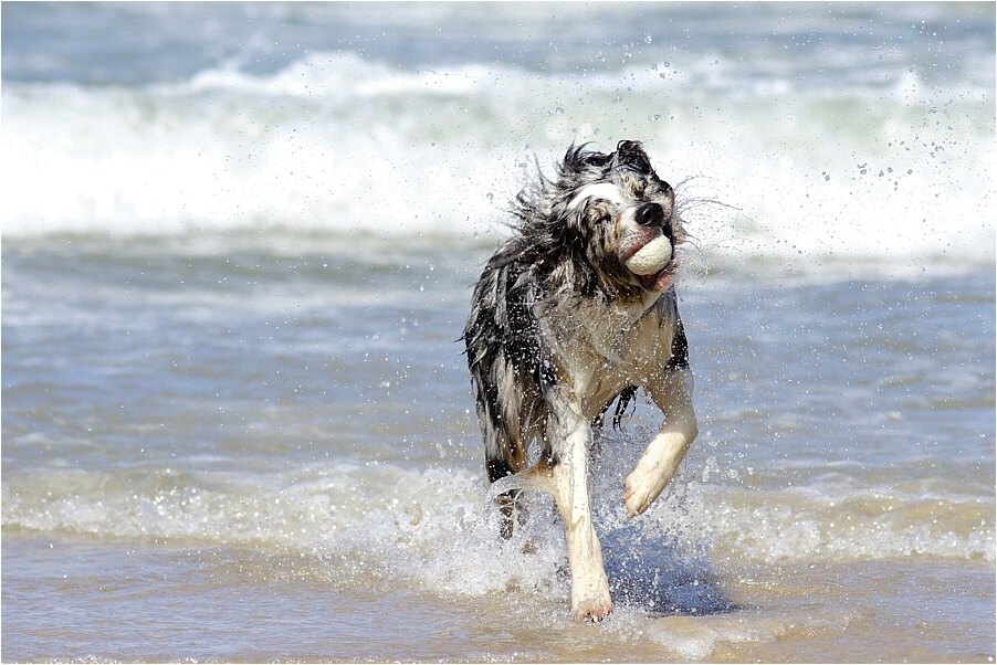 Luca und das Meer