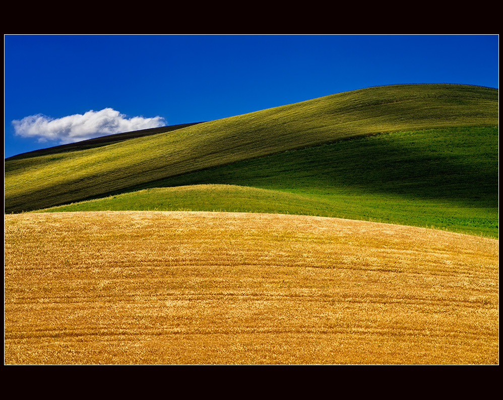 LUCANIA