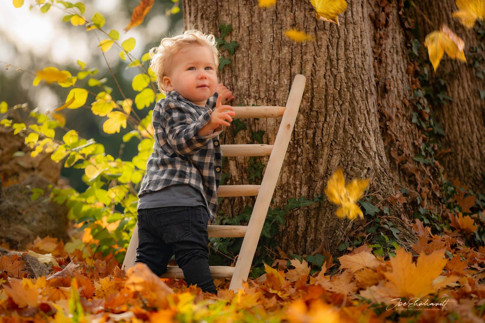 Lucas erstes Herbst-Shooting I