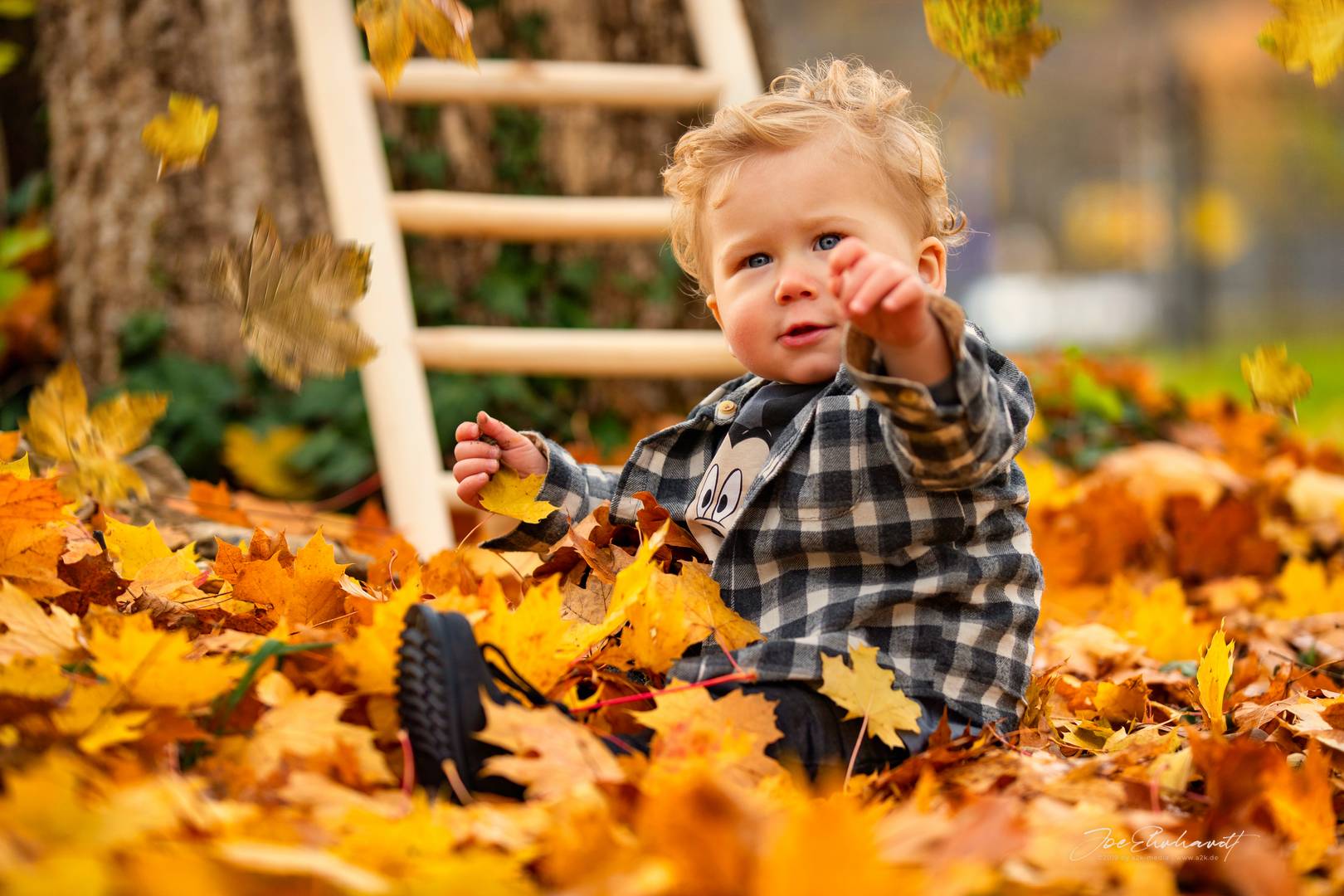 Lucas erstes Herbst-Shooting II