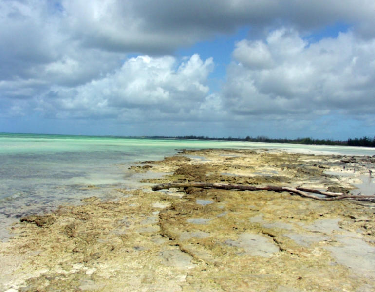 Lucayan National Park Bahamas